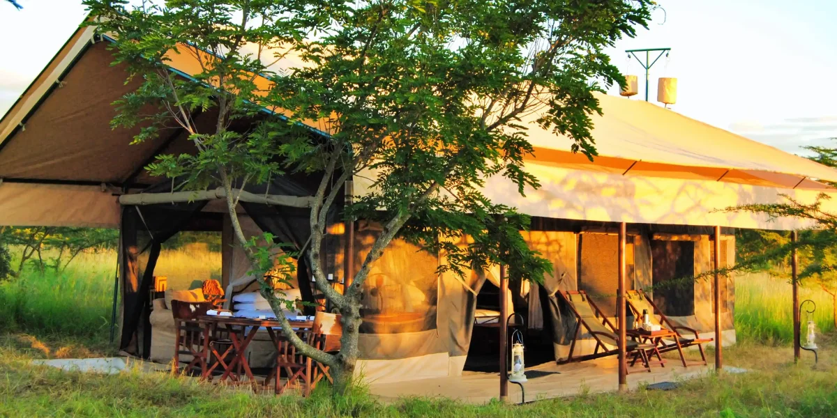 6-days-midrange-lodge-safari-going-to-lake-manyara-serengeti-national-park-and-ngorongoro-crater-and-tarangire-national-par2 6-days-midrange-lodge-safari-going-to-lake-manyara-serengeti-national-park-and-ngorongoro-crater-and-tarangire-national-par2