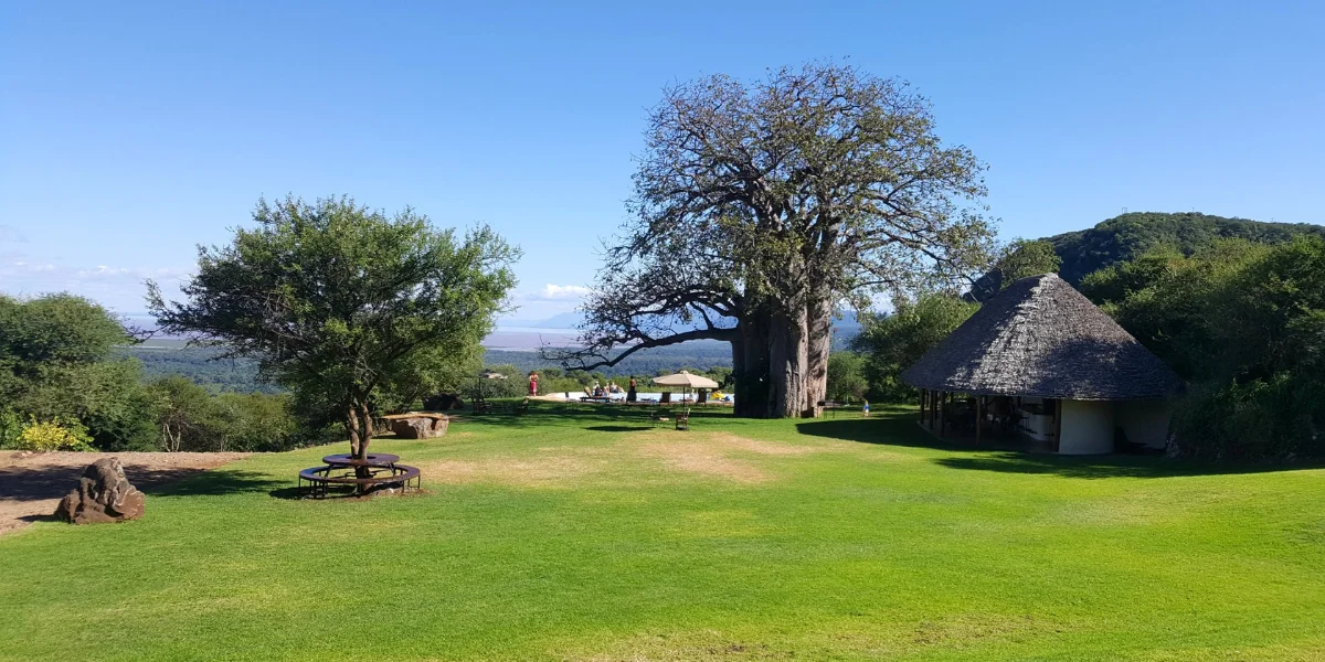 7-days-camping-safari-going-to-lake-manyara-serengeti-national-park-ngorongoro-crater-lake-eyasi-and-tarangire-national-park2 7-days-camping-safari-going-to-lake-manyara-serengeti-national-park-ngorongoro-crater-lake-eyasi-and-tarangire-national-park2