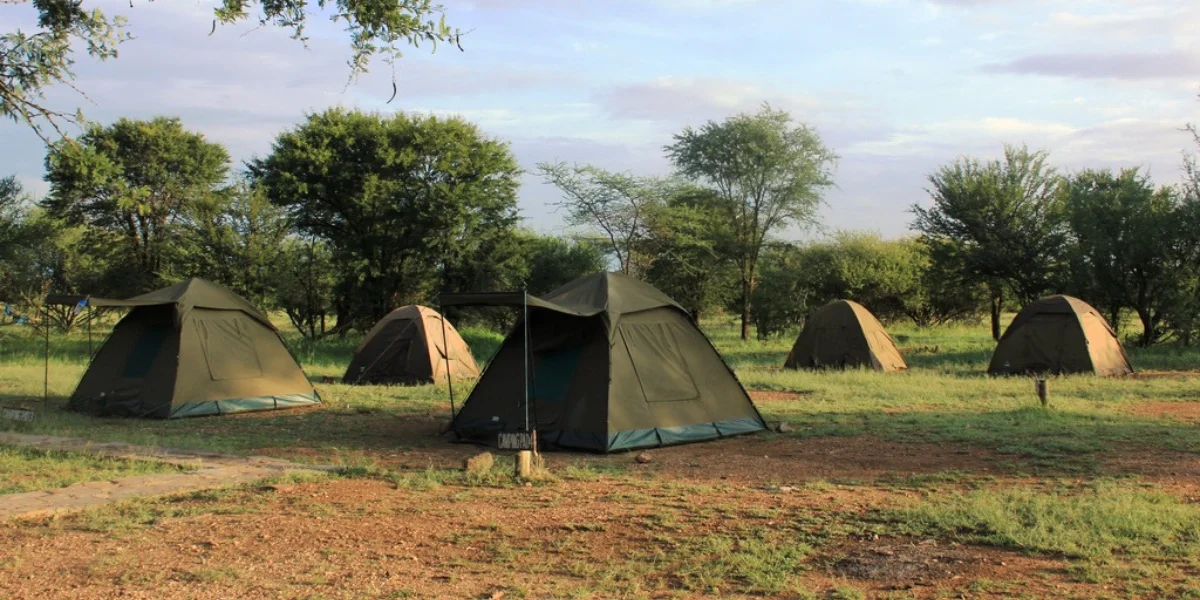 7-days-camping-safari-going-to-lake-manyara-serengeti-national-park-ngorongoro-crater-lake-eyasi-and-tarangire-national-park3 7-days-camping-safari-going-to-lake-manyara-serengeti-national-park-ngorongoro-crater-lake-eyasi-and-tarangire-national-park3