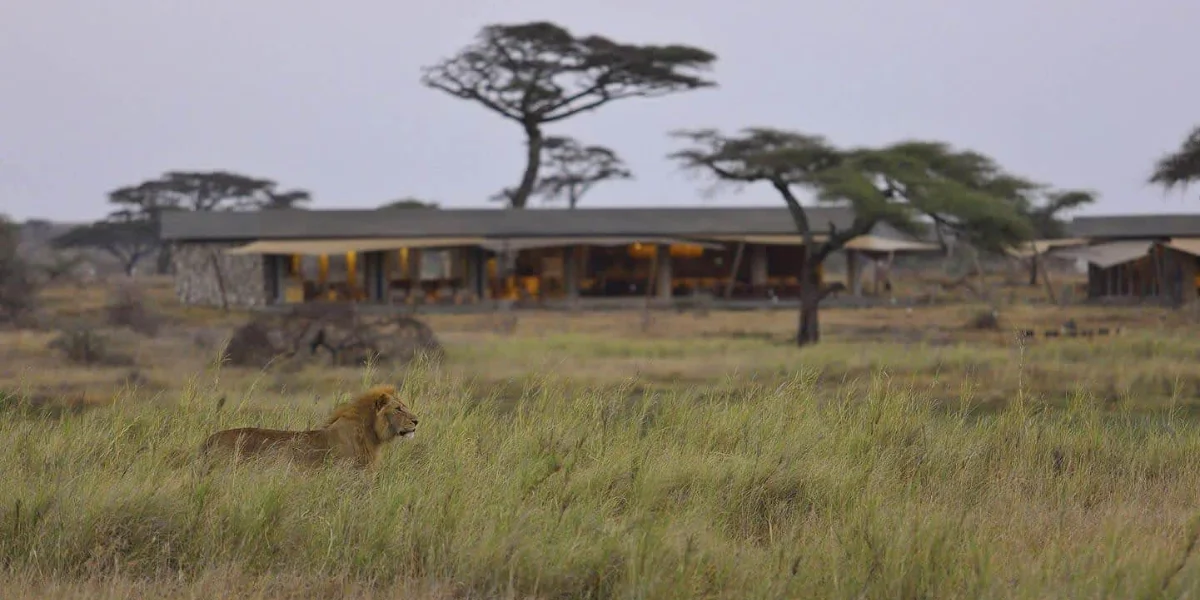 7-days-camping-safari-going-to-lake-manyara-serengeti-national-park-ngorongoro-crater-lake-eyasi-and-tarangire-national-park5 7-days-camping-safari-going-to-lake-manyara-serengeti-national-park-ngorongoro-crater-lake-eyasi-and-tarangire-national-park5
