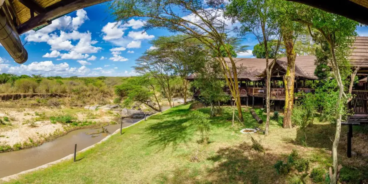 10 Days Kenya Birding Safari8 10 Days Kenya Birding Safari8
