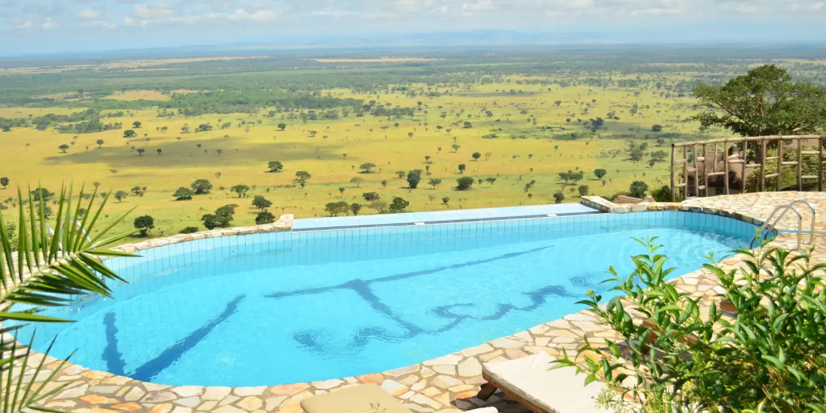 10-days-classic-primate-safari3 10-days-classic-primate-safari3