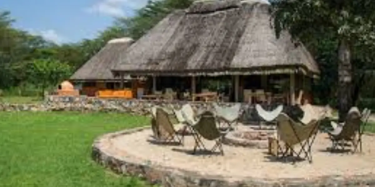10-days-classic-primate-safari4 10-days-classic-primate-safari4