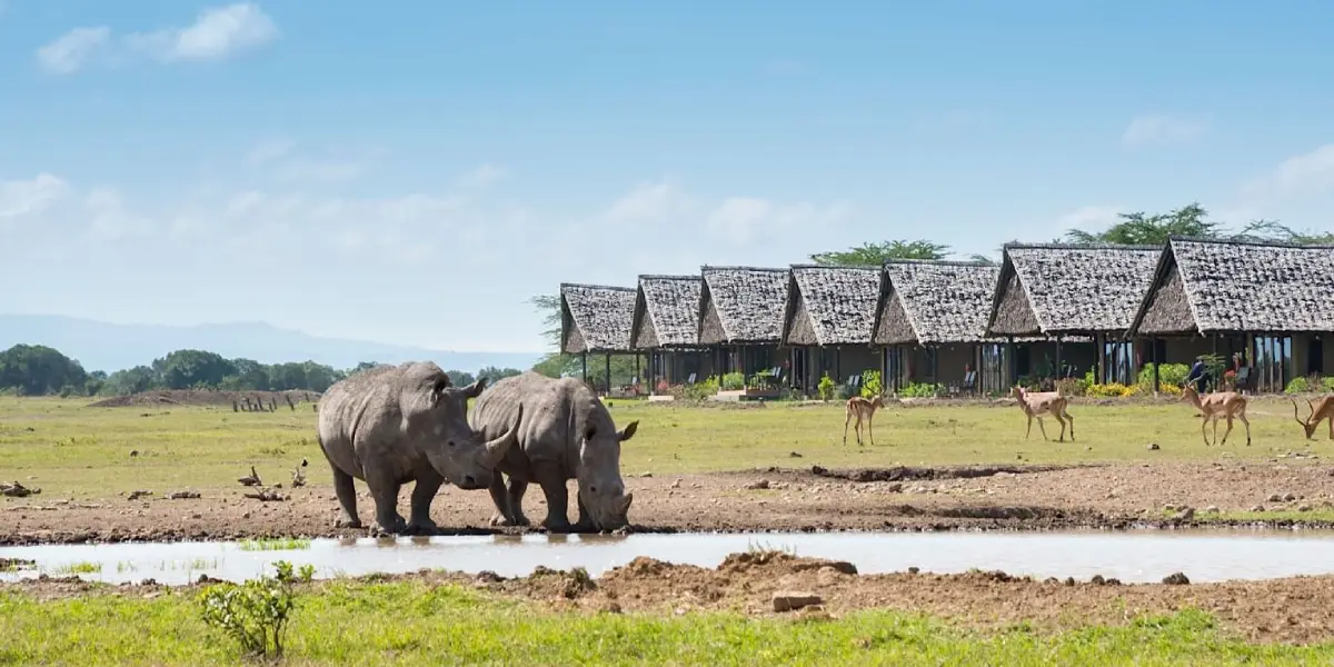 10-days-highlights-of-kenya-safari5 10-days-highlights-of-kenya-safari5
