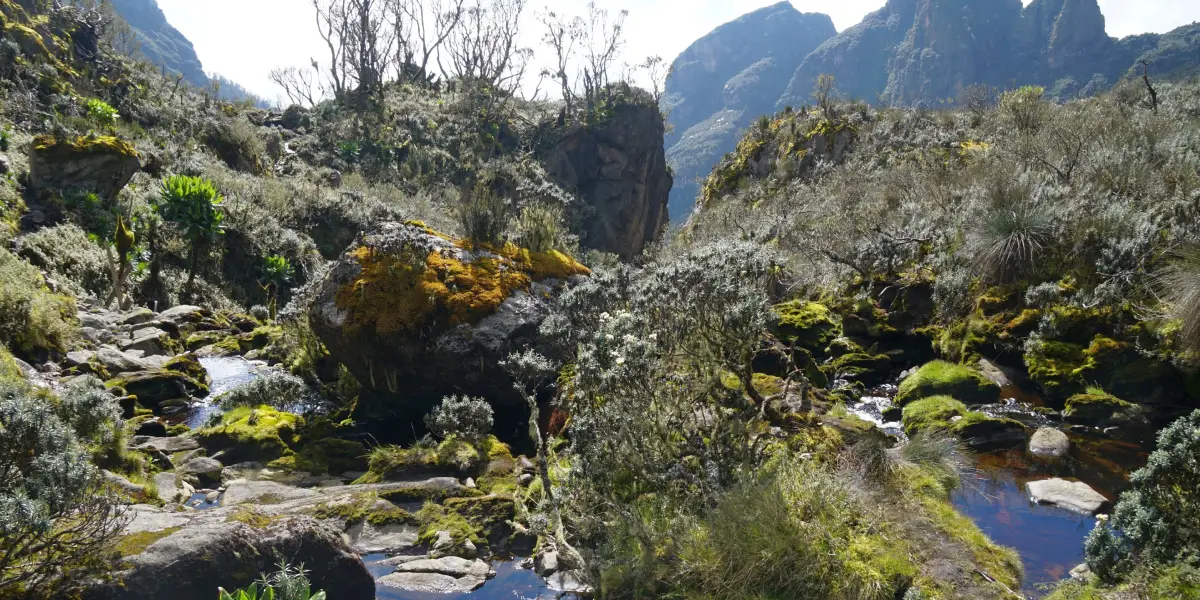 10-days-mountain-rwenzori-hiking-safari3 10-days-mountain-rwenzori-hiking-safari3