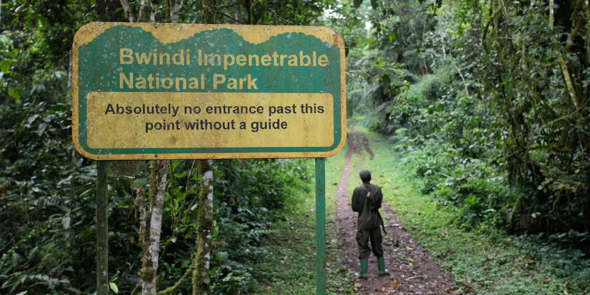 14-days-uganda-nature-safari11 14-days-uganda-nature-safari11