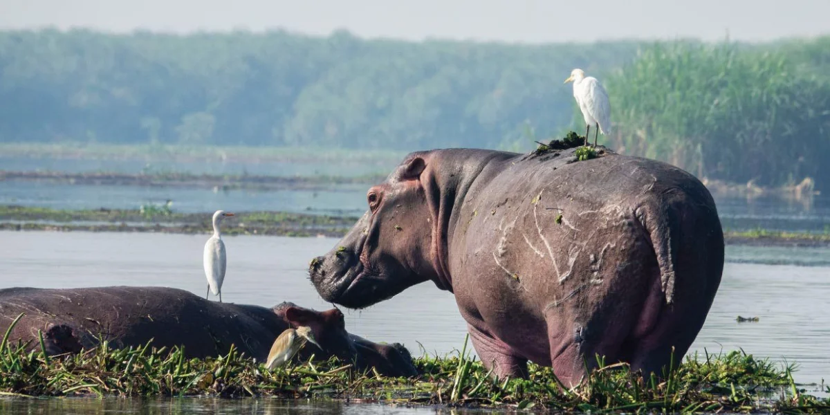 14-days-uganda-nature-safari3 14-days-uganda-nature-safari3