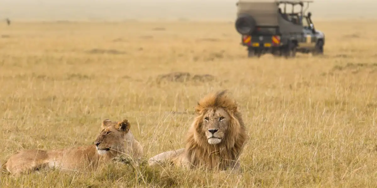 4-days-classic-journeys-flying-safari-4 4-days-classic-journeys-flying-safari-4