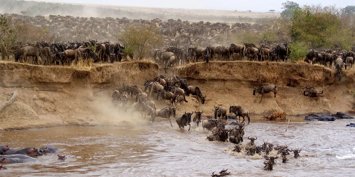 7-Days-Luxury-Kenya-Wildlife-Safari6 7-Days-Luxury-Kenya-Wildlife-Safari6
