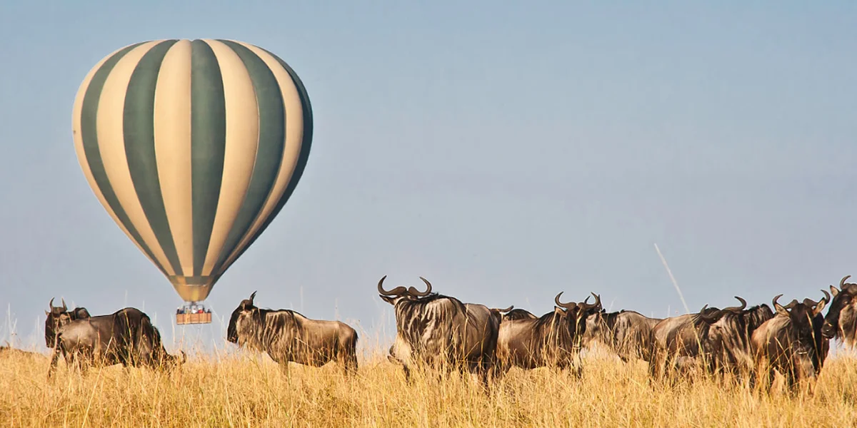 7-days-amboseli-and-mara-highlights6 7-days-amboseli-and-mara-highlights6