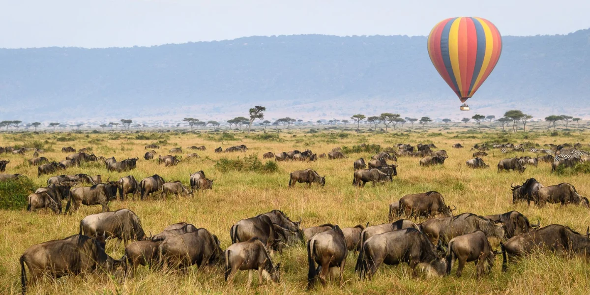 7-days-nomadic-quest-expedition4 7-days-nomadic-quest-expedition4