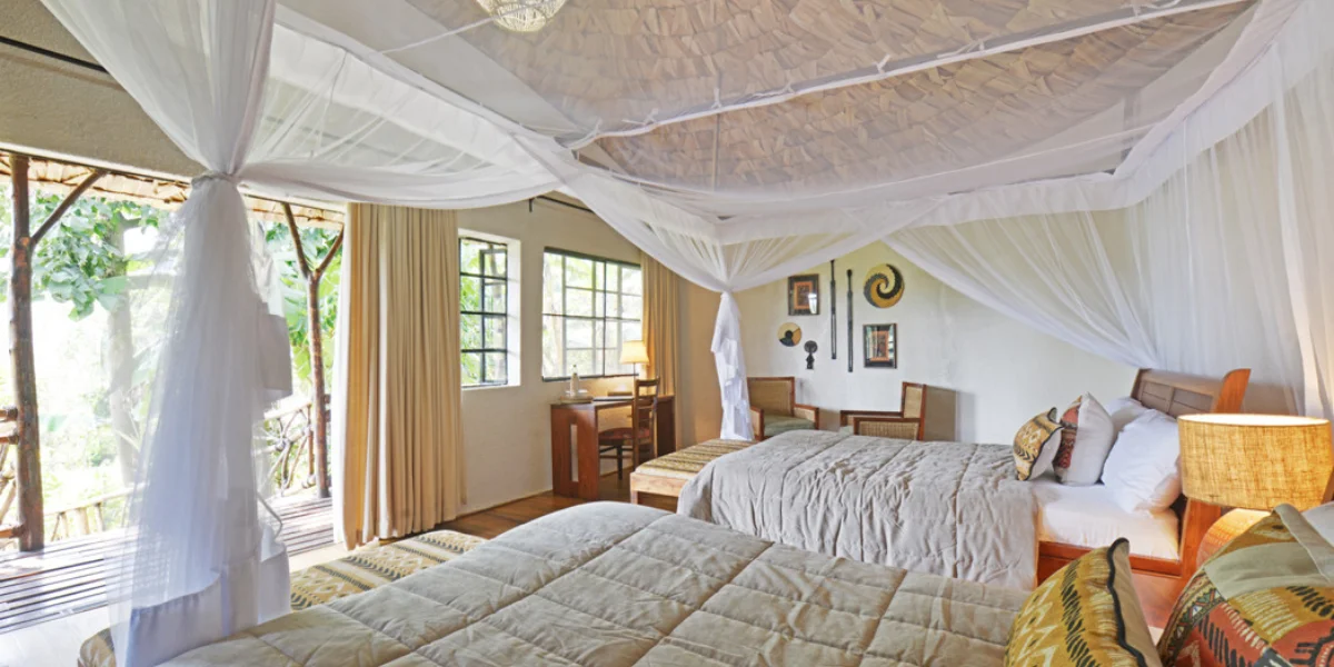 7-days-uganda-classic-gorilla-safari5 7-days-uganda-classic-gorilla-safari5