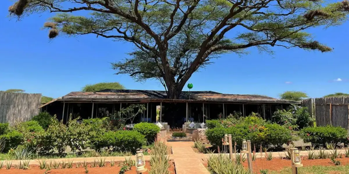 8 Days Simba Adventure Safari3 8 Days Simba Adventure Safari3