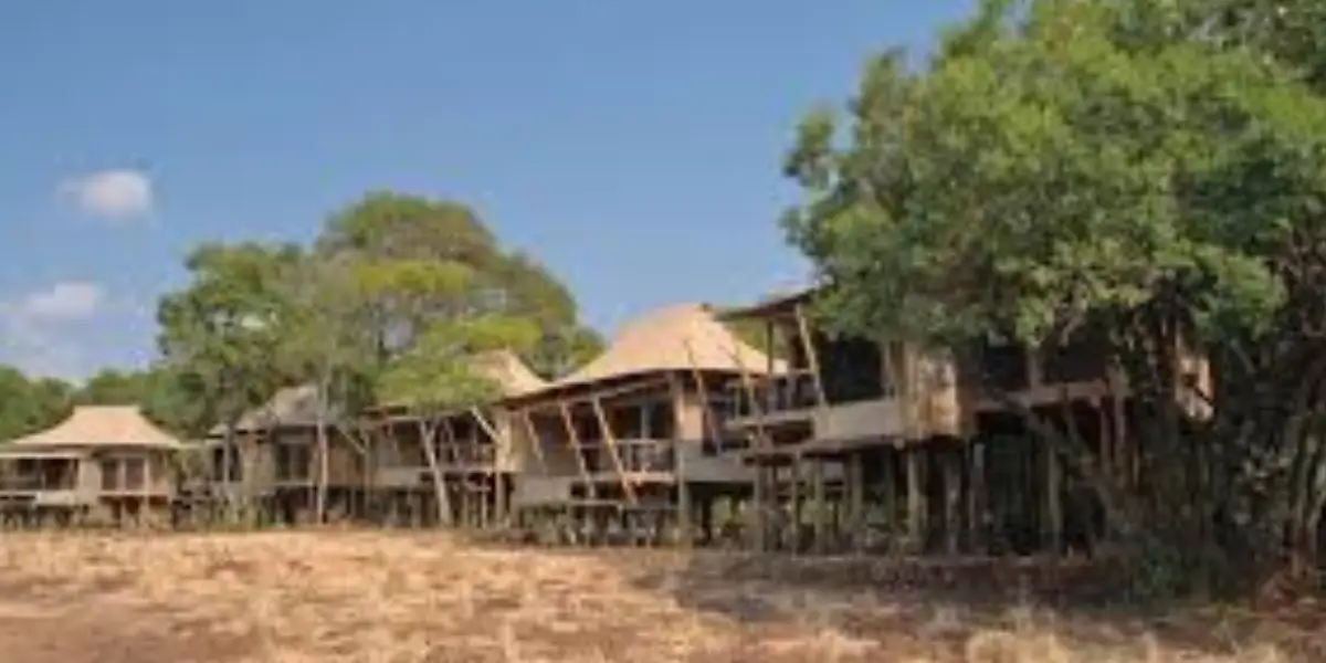 8 Days Simba Adventure Safari7 8 Days Simba Adventure Safari7