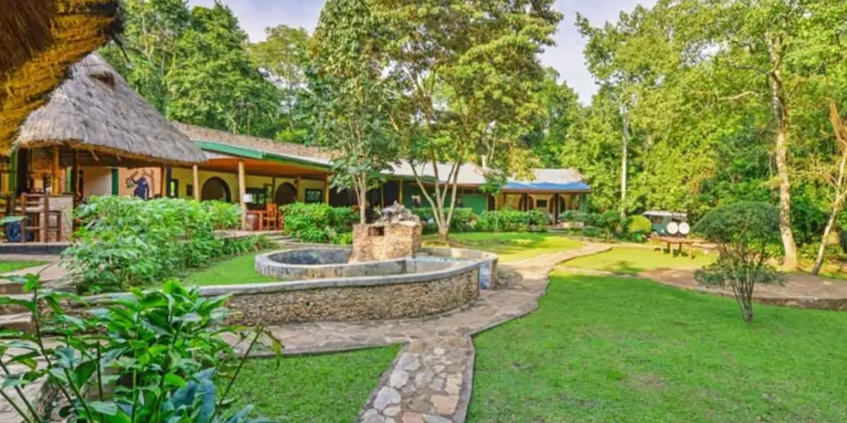 8-day-classic-uganda-primate-safari2 8-day-classic-uganda-primate-safari2