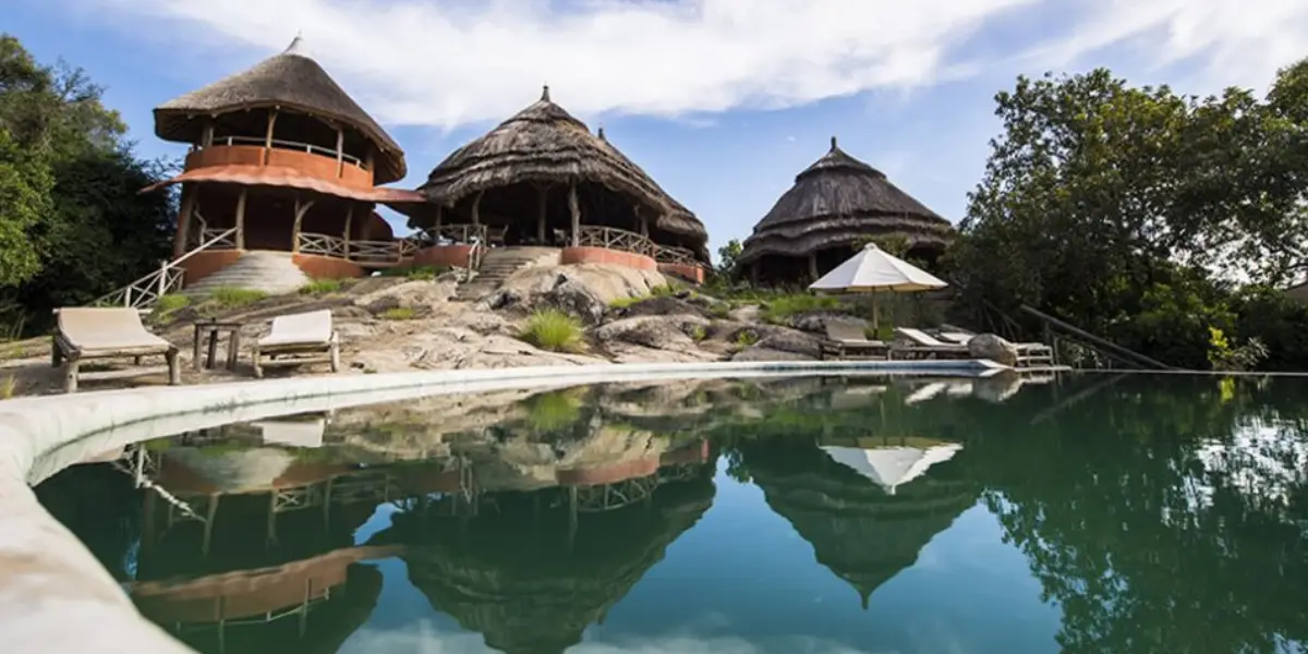 8-day-classic-uganda-primate-safari7 8-day-classic-uganda-primate-safari7