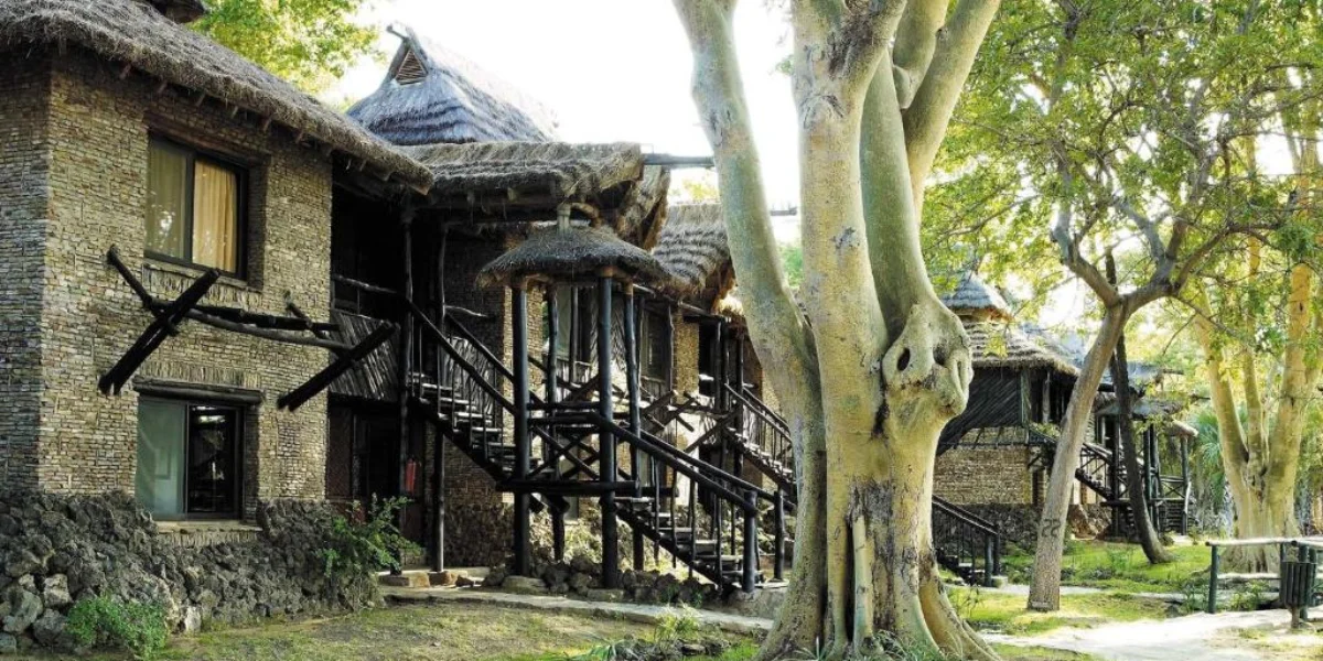 9-days-kenya-best-of-the-special-five-safari2 9-days-kenya-best-of-the-special-five-safari2