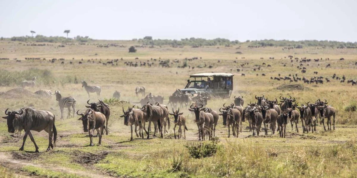 9-days-kenya-best-of-the-special-five-safari7 9-days-kenya-best-of-the-special-five-safari7