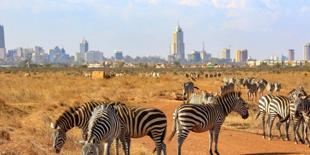 9-days-kenyan-enclave-expedition8 9-days-kenyan-enclave-expedition8