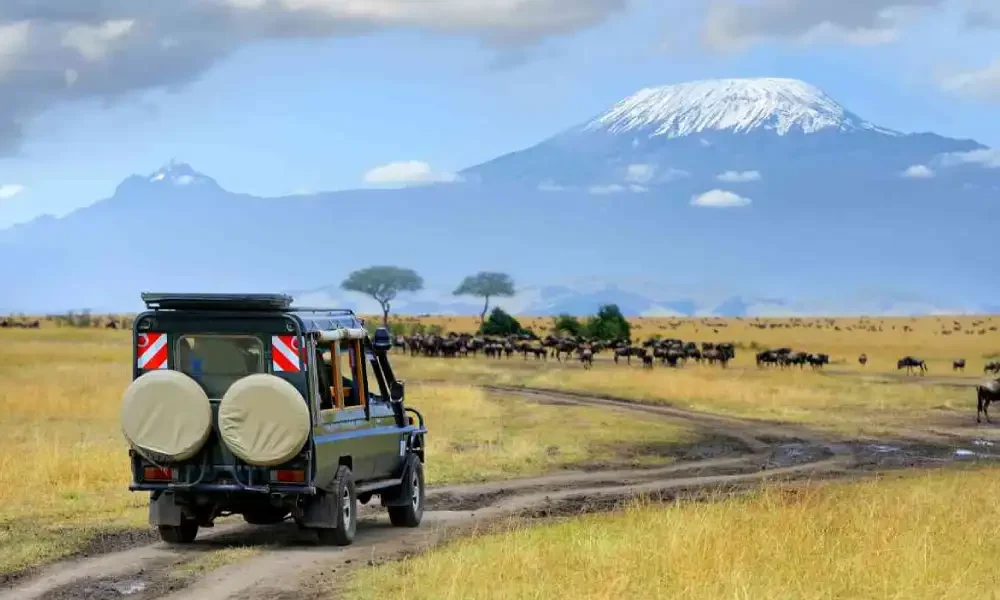 amboseli-national-park-4 amboseli-national-park-4