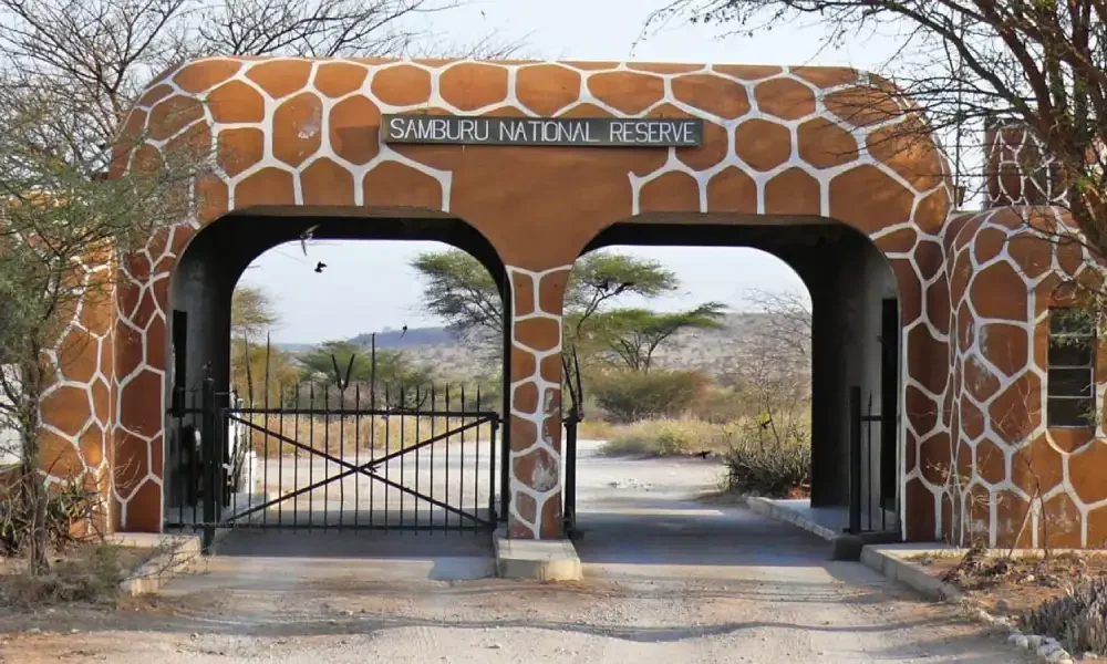 samburu-national-reserve-4 samburu-national-reserve-4